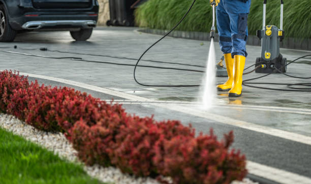 Local Pressure Washing Services